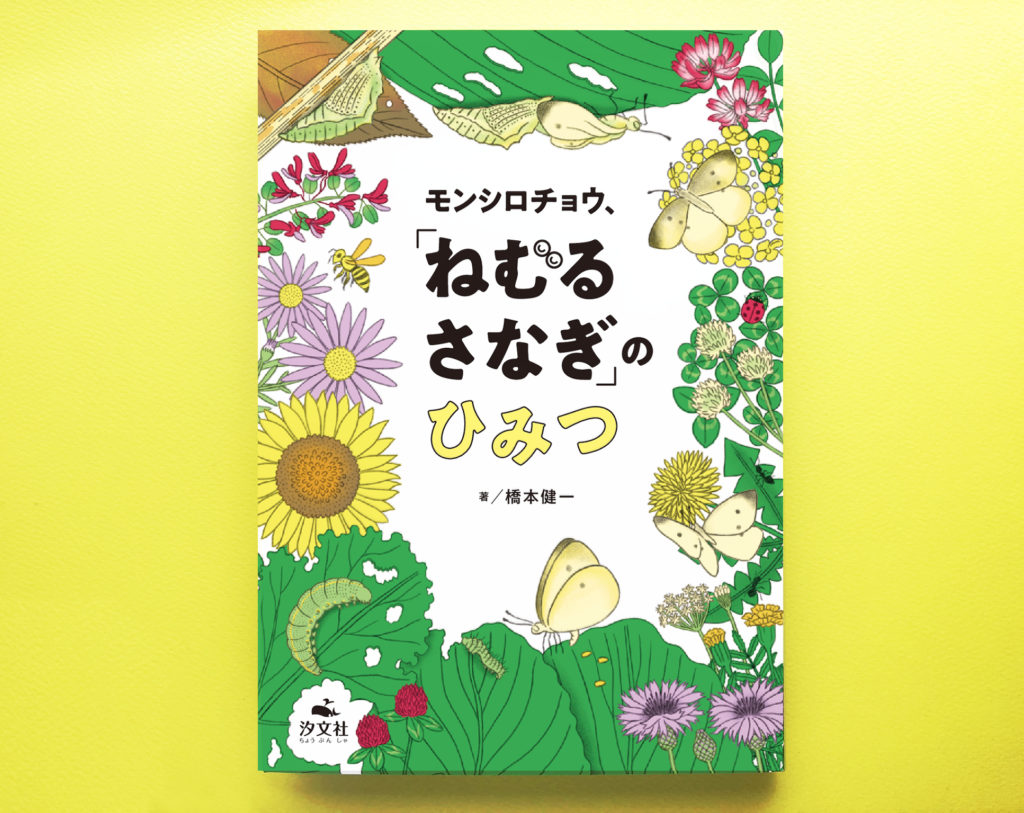 モンシロチョウ、「ねむる　さなぎ」のひみつ （汐文社）